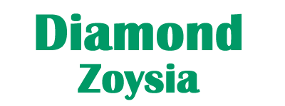 Diamond Zoysia
