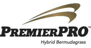 Premierpro