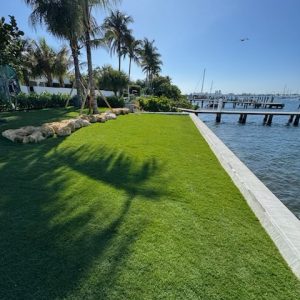 ‘UGP 73’ seashore paspalum SeaScape™